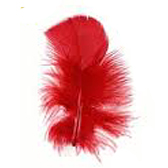 Dyed Turkey Plumage - RED